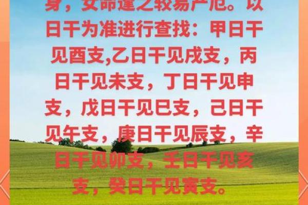 命理相克：探寻命运中隐秘的力量与影响