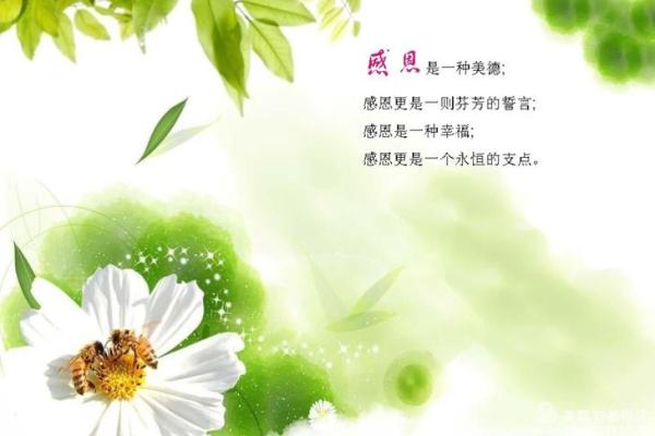 癸水女子的魅力：为何她们能吸引任何男子的心？