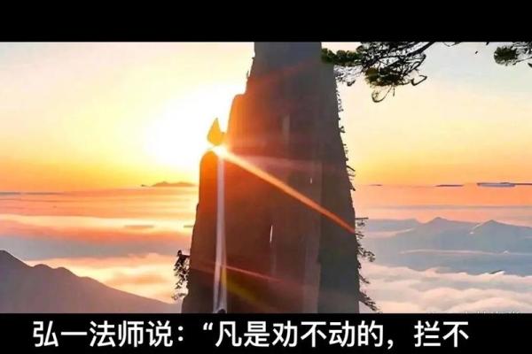 探秘六命之后五命：命理中的深邃智慧与人生启示
