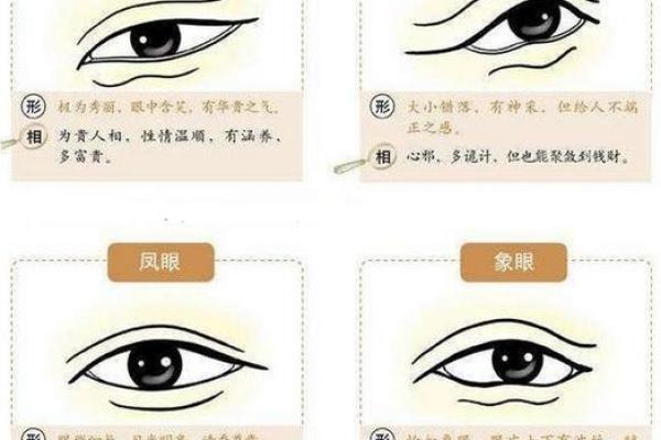 六月二十二日出生者的命运与性格探秘