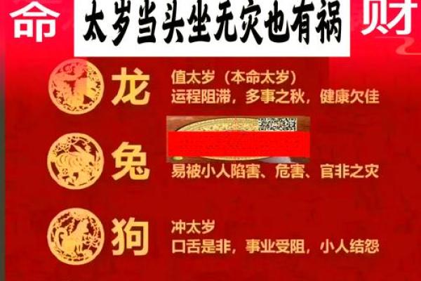 酉时的智慧：命卦中的酉与生活的启示