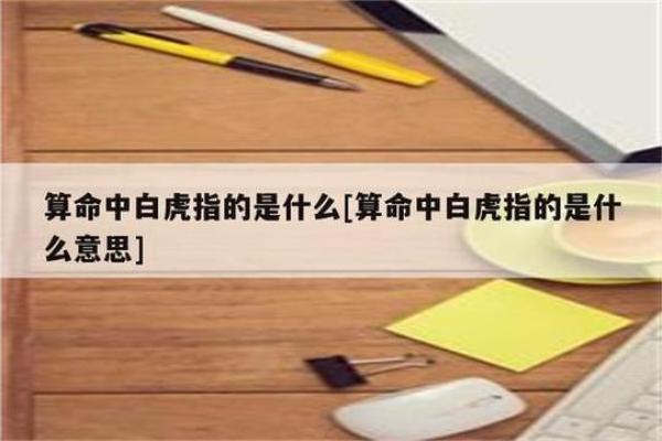 命理学中的白虎：象征与启示的深度解读
