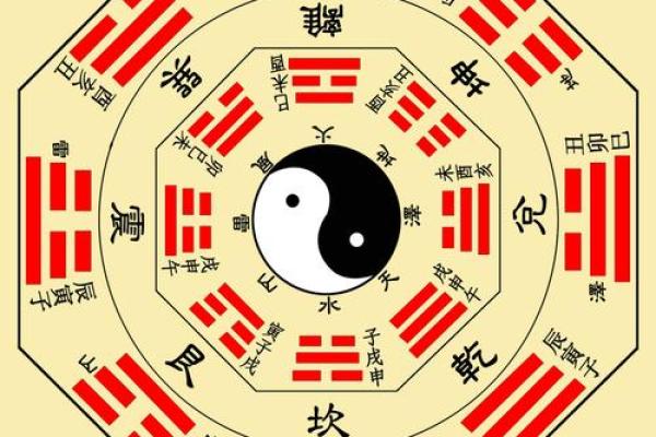 六月初二男孩命理解析：人生机遇与挑战并存的命格解读