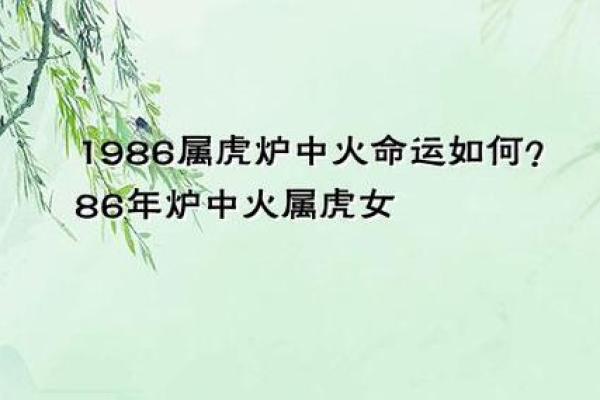 揭秘女人70年五行属什么命，探索命运的奥秘与启示