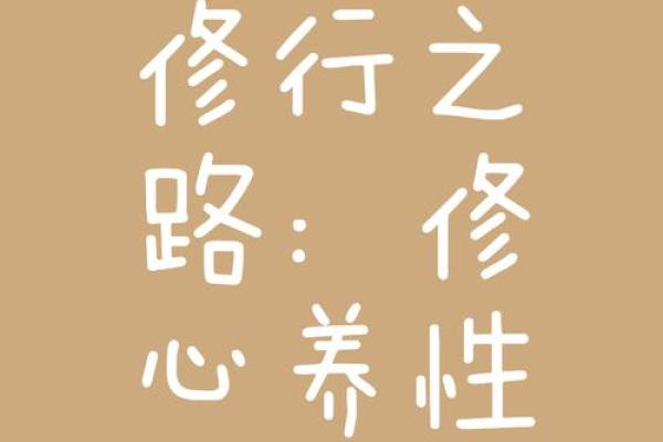 女人一生的命运：从少女到老人的心灵旅程与坚韧之美