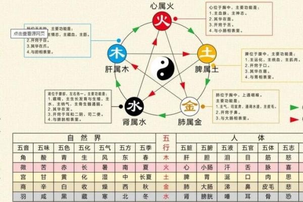 女老鼠的命理解析：五行相生，运势解析与人生启示