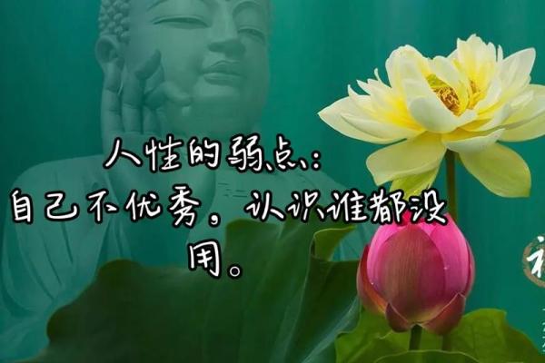 流年印星旺的命运解读：如何把握人生的机遇与挑战