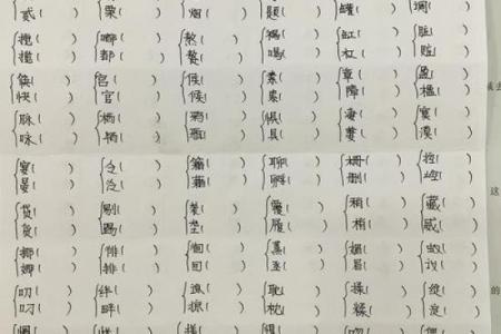 命字同音字的探秘：发现生活中的“命”与“名”
