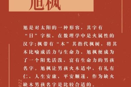 命里缺木:探秘木元素对命理的深远影响与调和之道