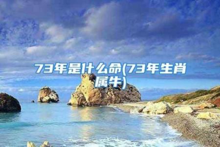 解读女命格中“犯牛下杀”的深层含义与影响