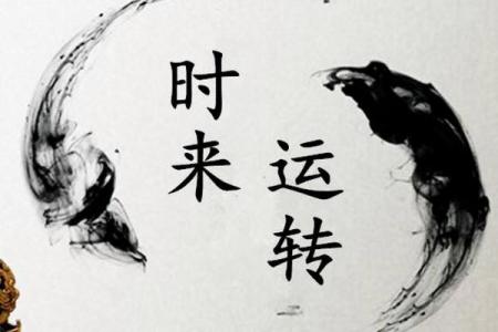 偏官星在男命中的深刻影响与人格特征探究