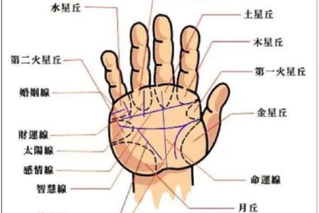 男生手相解析：揭示你命运的秘密与人生方向