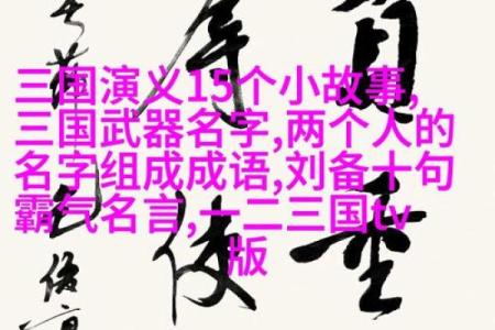 探索成语的魅力：命运与命运的智慧之光