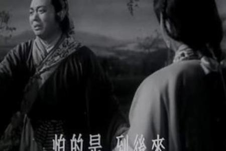 探秘龙与鸡命理：命运交织中的玄机与启示