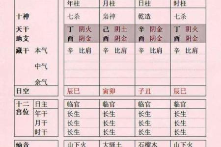 农历11月酉时出生的人生命解析:神秘星辰背后的命运之旅