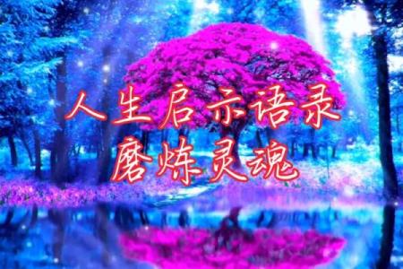 探秘伶俐之命:命格解析与人生启示