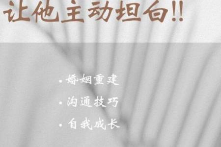 探讨“男招好妻之命”:传统观念与现代思考的碰撞