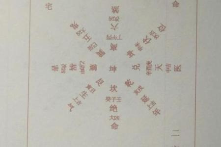 探索坤命与西四命：命理中的奥秘与智慧