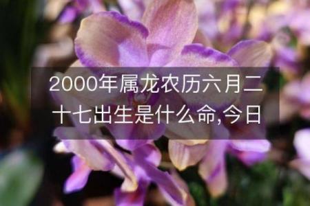 农历七月出生的人：命运与性格的深度解析