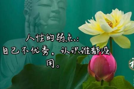 流年印星旺的命运解读：如何把握人生的机遇与挑战