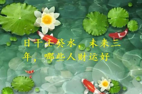 86年水命的生辰揭秘：探寻水命人的独特性格与命运走势