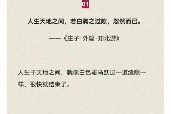 命运交错：两只虎的故事与人生哲学探讨