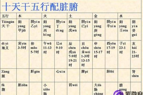 神秘的魁罡格女命：揭开命理的秘密与魅力