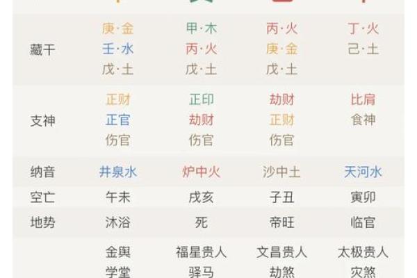 2024年属兔人五行命理解析：探索兔年的命运与机遇