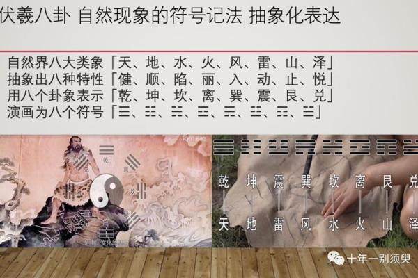 探寻坎命与坤命的磁场奥秘：人生选择的不同旅程