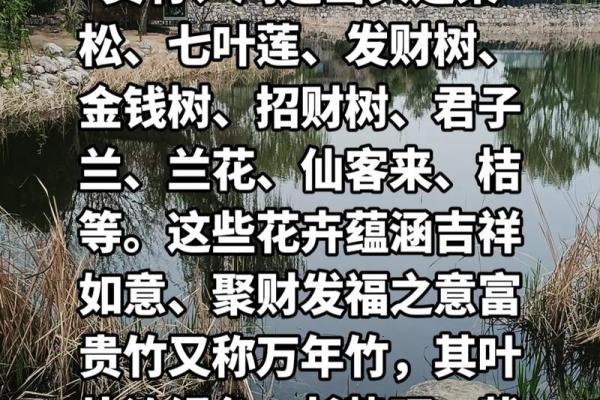 根据木命选择门口花卉，带来生机与好运的选择指南
