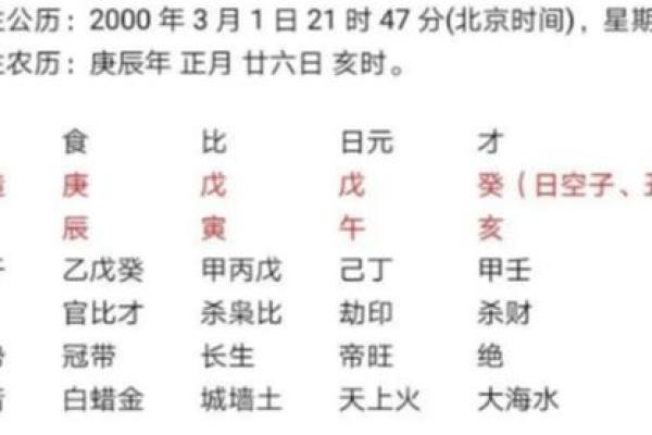 女命财官生旺：揭示女性命理中的财富与事业之道