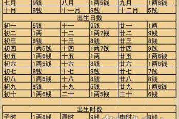 龙历二月十九的命运解析：揭示命理背后的奥秘与智慧