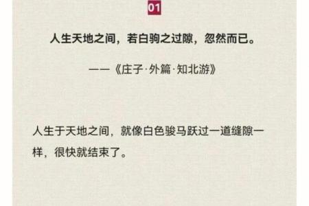 命运交错：两只虎的故事与人生哲学探讨