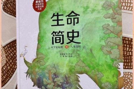 命归黄泉路上的灵魂旅程：探寻生命尽头的奥秘与希望