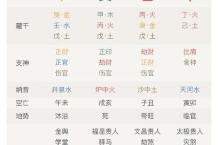 2024年属兔人五行命理解析：探索兔年的命运与机遇