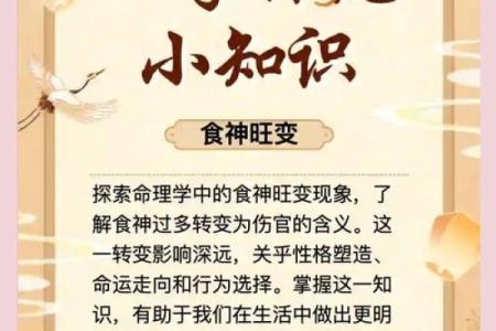 理解命盘中的主星：揭示你的内在潜力与人生轨迹
