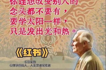 命好就对了，揭示命运背后的奥秘与智慧