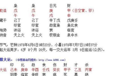 女命财官生旺：揭示女性命理中的财富与事业之道