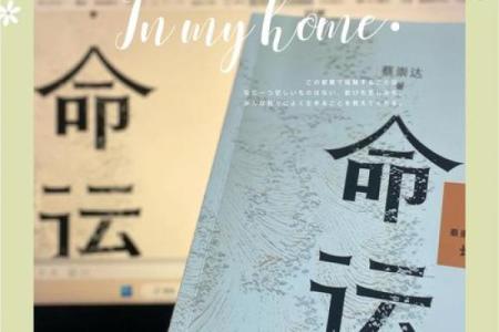 男孩的一生:命运、挑战与成长的旅程
