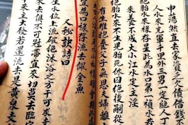命局阴男水二局的深度解析与人生启示