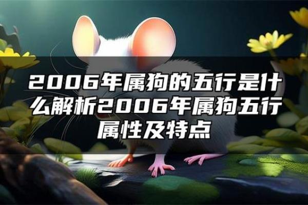 探索1994年属狗人的五行命理与性格特征