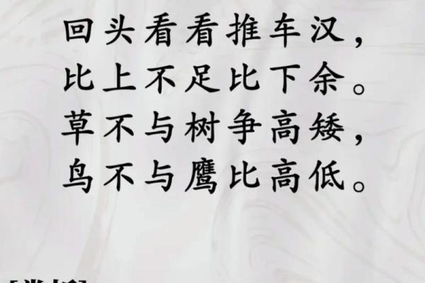 命是缘，缘也是命——探讨人生的宿命与机缘