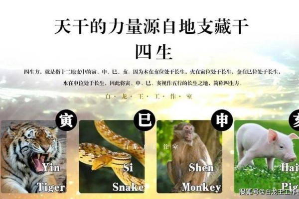 命里三个火的运势与性格解析：点燃人生的激情与动力！