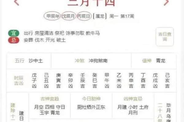 2023年龙年：最适合各属相的命运之道与发展机遇