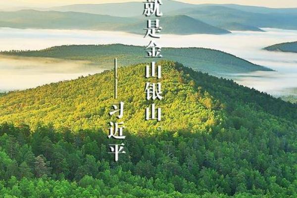 木命与山头相合的奥秘：探寻自然与命理的和谐之道