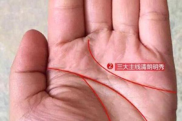看八字，解锁命运密码，了解什么命最好！