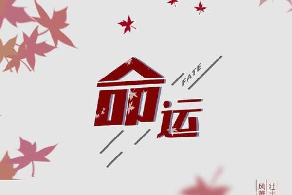 命里点金：揭开命理学对人生路径的神秘面纱