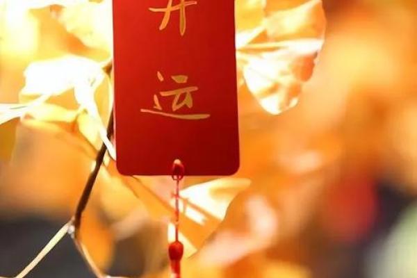 命里点金：揭开命理学对人生路径的神秘面纱