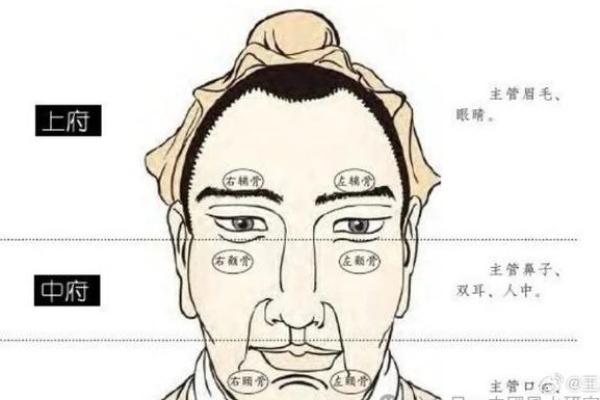 男生眉毛如牛角，命运注定何去何从？一探究竟！