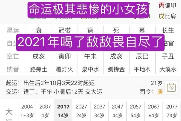 农历二十三出生的女生命运分析：性格特点与人生轨迹探析